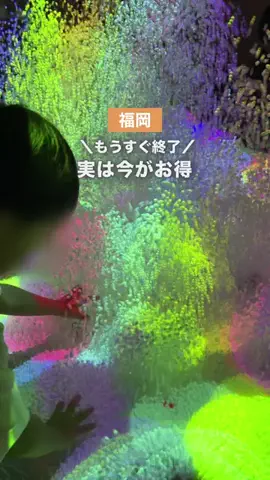 こなつ | 福岡子連れおでかけのTikTok投稿