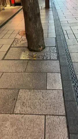 えりたま　あっちゃこちゃの万華鏡のTikTok投稿