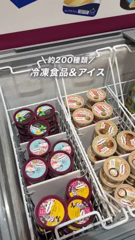 こなつ | 福岡子連れおでかけのTikTok投稿