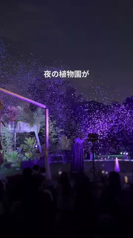 こなつ | 福岡子連れおでかけのTikTok投稿