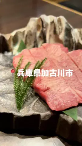 まっちゃんのTikTok投稿