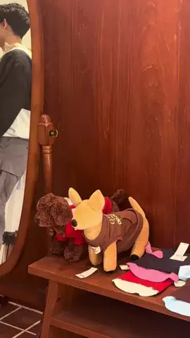 senのTikTok投稿