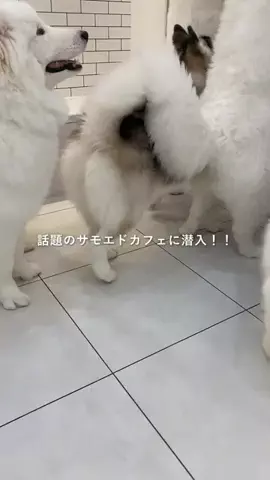 NUUUN【名古屋女子のための動画メディア】のTikTok投稿