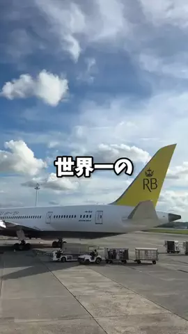 航空券のプロ✈️のTikTok投稿