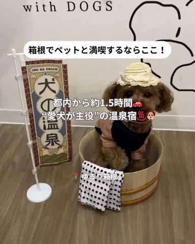 コスパ旅@コスパ良くオシャレに旅行✈️のTikTok投稿