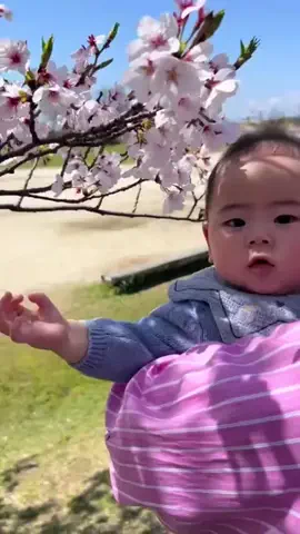 きょうのチアキのTikTok投稿