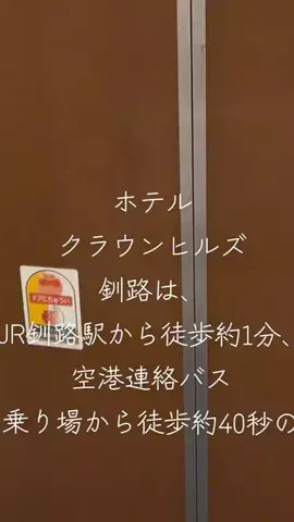 グーのTikTok投稿