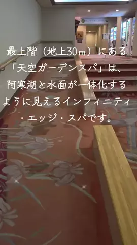 グーのTikTok投稿
