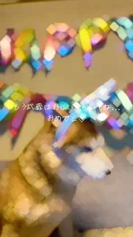 僕を癒して下さい《薬中》のTikTok投稿
