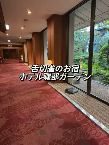 アイルのTikTok投稿