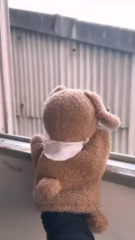 たぐいちゃん👁️🗝️仲村類のTikTok投稿