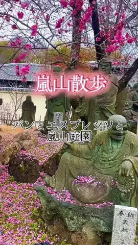 茨城と栃木の県境に住んでいますのTikTok投稿
