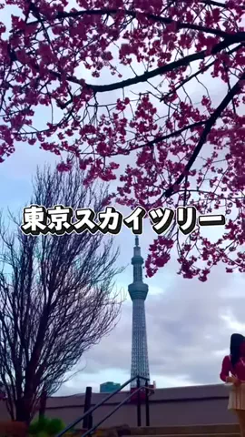 茨城と栃木の県境に住んでいますのTikTok投稿
