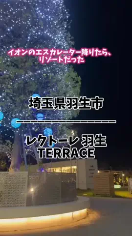 茨城と栃木の県境に住んでいますのTikTok投稿