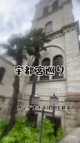 茨城と栃木の県境に住んでいますのTikTok投稿