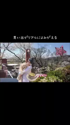 ⭐︎sena⭐︎のTikTok投稿