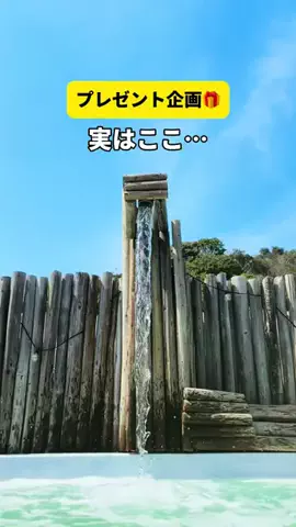 サウナコレクション【サウコレ！】のTikTok投稿