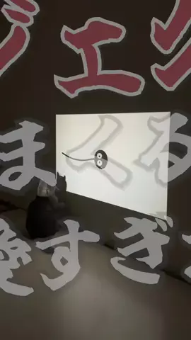 ねこある｜猫との暮らしあるあるのTikTok投稿