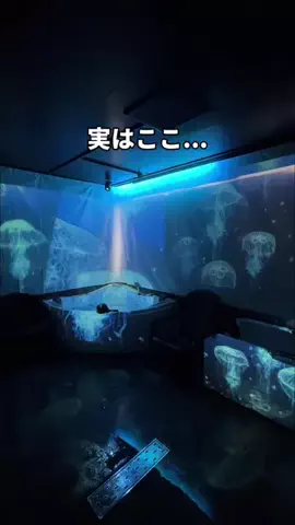 サウナコレクション【サウコレ！】のTikTok投稿