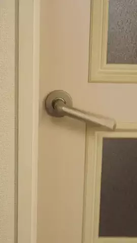 ナイトてんしょんのTikTok投稿