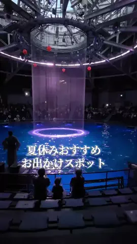トトのTikTok投稿