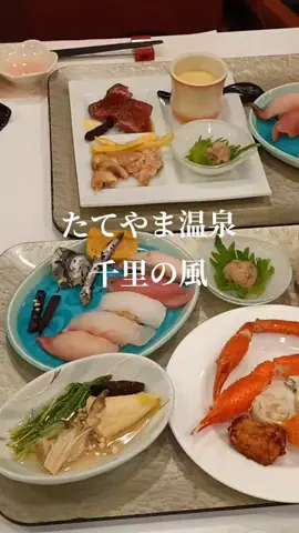 トトのTikTok投稿