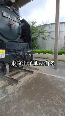 トトのTikTok投稿