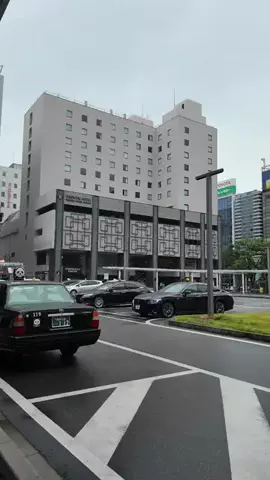 トトのTikTok投稿