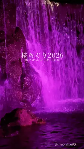 ＊hitohira＊のTikTok投稿