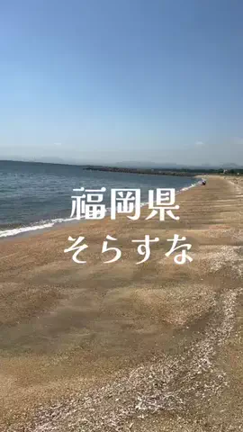 トトのTikTok投稿