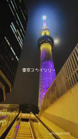 ＊hitohira＊のTikTok投稿