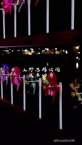 ＊hitohira＊のTikTok投稿