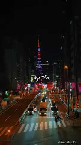 ＊hitohira＊のTikTok投稿