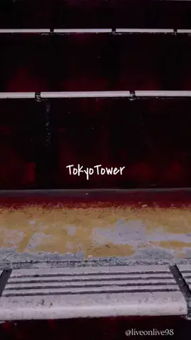 ＊hitohira＊のTikTok投稿