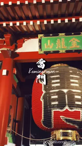 ＊hitohira＊のTikTok投稿