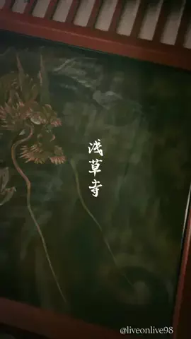 ＊hitohira＊のTikTok投稿