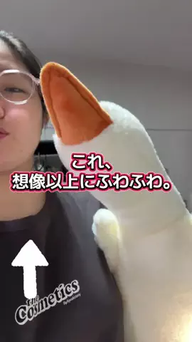 YURIのTikTok投稿