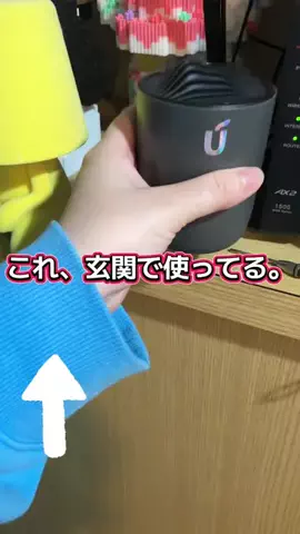 YURIのTikTok投稿