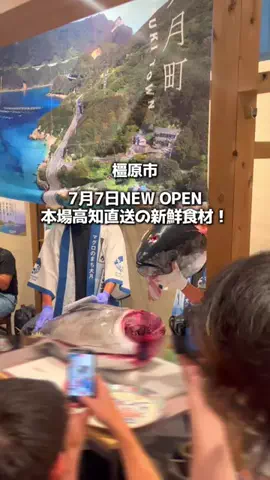 奈良グルメ攻略 | 人に話したくなるｸﾞﾙﾒ🦌のTikTok投稿