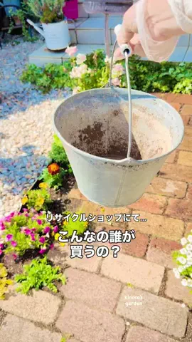 きの子　（小さな庭・DIY）のTikTok投稿
