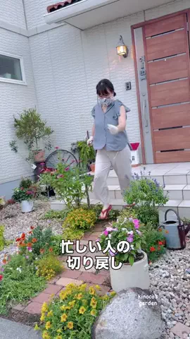 きの子　（小さな庭・DIY）のTikTok投稿