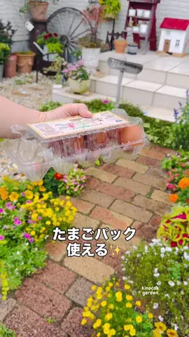 きの子　（小さな庭・DIY）のTikTok投稿