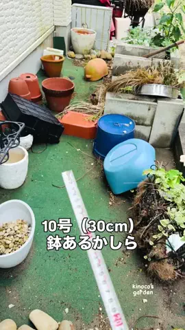 きの子　（小さな庭・DIY）のTikTok投稿