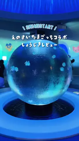 えいぴ  ｜子連れお出かけのTikTok投稿