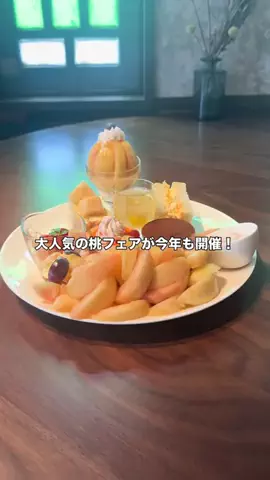 とちぎびより＆たびのおと(ブロガー しょう)のTikTok投稿