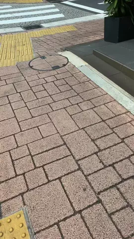 えりたま　あっちゃこちゃの万華鏡のTikTok投稿