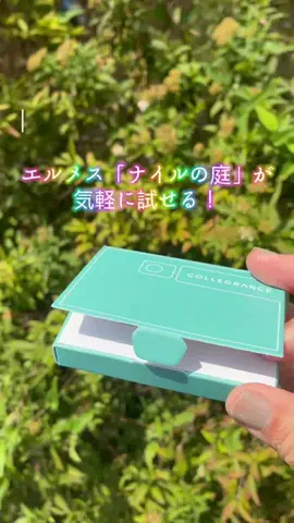zuenmeiのTikTok投稿