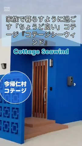 zuenmeiのTikTok投稿