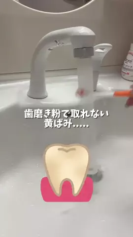 🦋あいる🦋のTikTok投稿