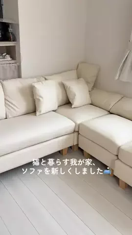 メル🎀￤マンチカン🐈のTikTok投稿